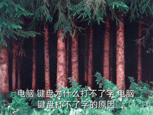 電腦鍵盤打不出字,鍵盤和電腦連接故障