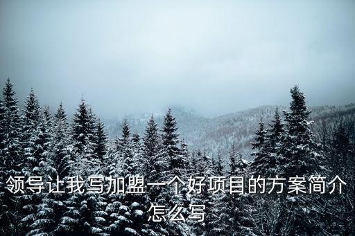 領導讓我寫加盟一個好項目的方案簡介怎么寫
