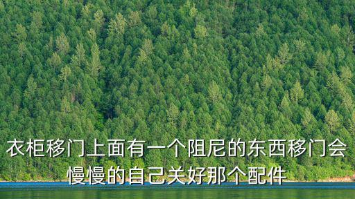 衣柜移門上面有一個阻尼的東西移門會慢慢的自己關好那個配件