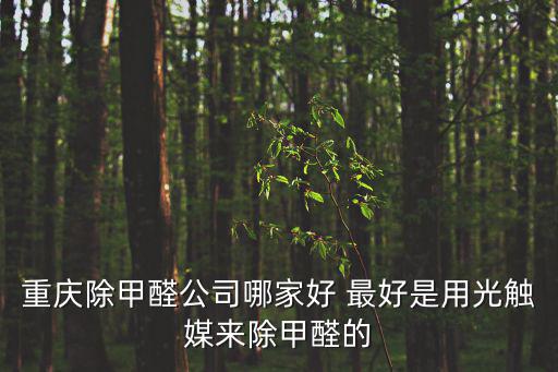 重慶除甲醛公司哪家好 最好是用光觸媒來除甲醛的