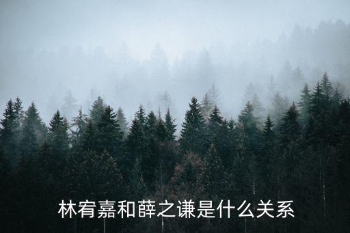  林宥嘉和薛之謙是什么關系