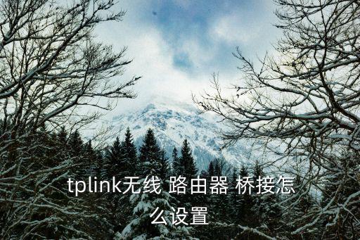 tp路由器橋接,設(shè)置路由器無線設(shè)置方法如下
