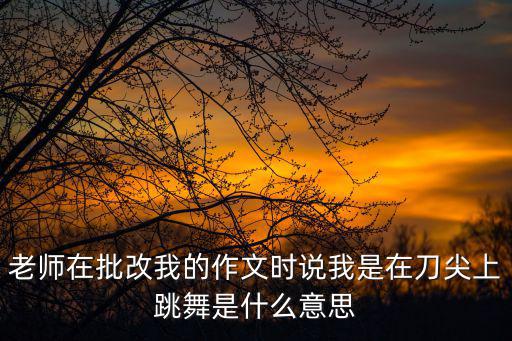 老師在批改我的作文時說我是在刀尖上跳舞是什么意思