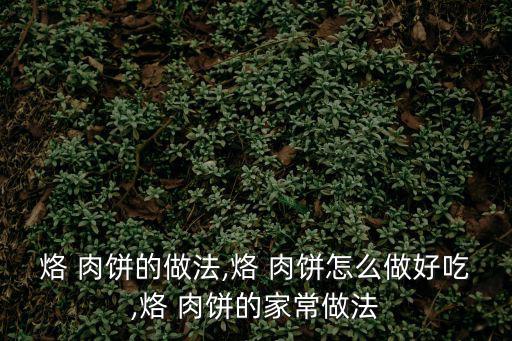 烙 肉餅的做法,烙 肉餅怎么做好吃,烙 肉餅的家常做法