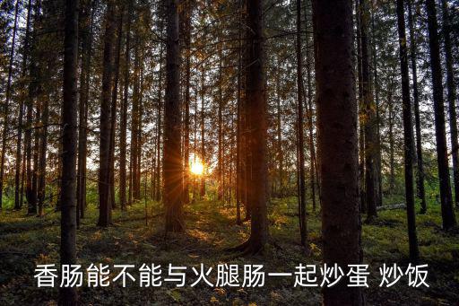  香腸能不能與火腿腸一起炒蛋 炒飯