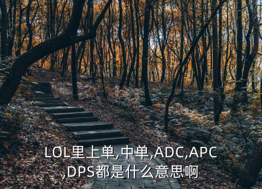 apc是什么意思,輸出型武器可以打死敵人!