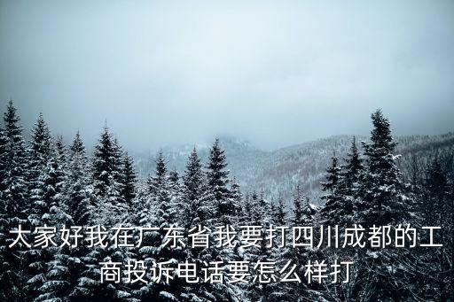 大家好我在廣東省我要打四川成都的工商投訴電話要怎么樣打
