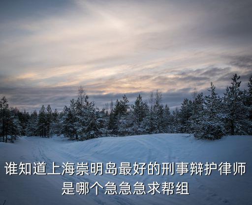 誰知道上海崇明島最好的刑事辯護(hù)律師是哪個(gè)急急急求幫組
