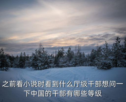 之前看小說時看到什么廳級干部想問一下中國的干部有哪些等級