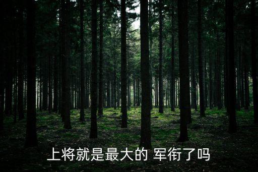 上將就是最大的 軍銜了嗎