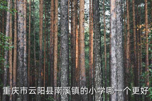 重慶市云陽縣南溪鎮的小學哪一個更好