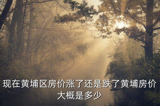 廣州黃埔的房?jī)r(jià)現(xiàn)在是多少，廣州市黃浦區(qū)二手樓房?jī)r(jià)大約是多少ms