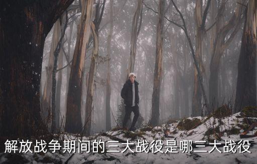 解放戰(zhàn)爭(zhēng)期間的三大戰(zhàn)役是哪三大戰(zhàn)役