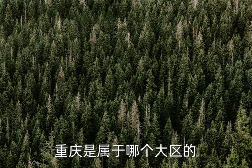 重慶是屬于哪個大區(qū)的