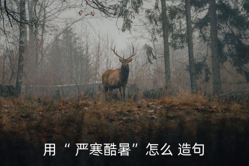 用“ 嚴(yán)寒酷暑”怎么 造句