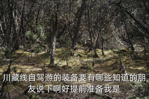 川藏線自駕游的裝備要有哪些知道的朋友說下啊好提前準備我是