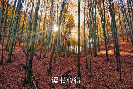 讀書會(huì)心得體會(huì)，讀書心得