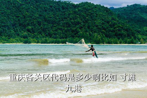 重慶各關(guān)區(qū)代碼是多少啊比如 寸灘 九港