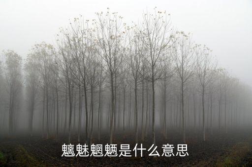 魑魅魍魎的意思，鬼魅魍魎是什么意思