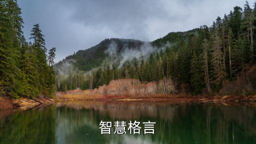 智慧格言