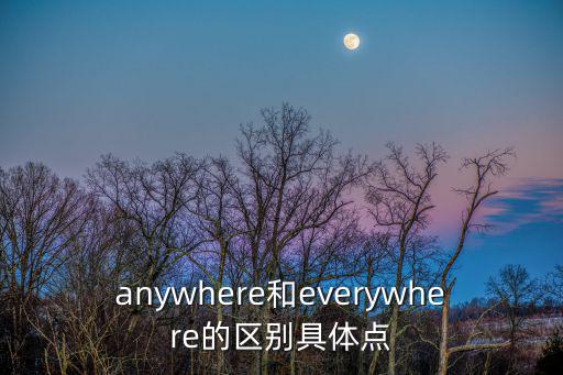anywhere和everywhere的區(qū)別具體點(diǎn)