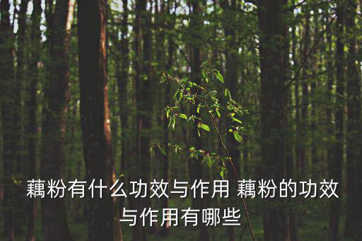 藕粉的功效與營養(yǎng),蓮藕營養(yǎng)豐富有助通便止血健脾開胃