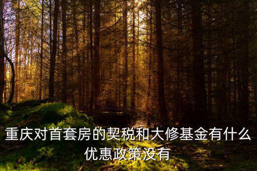 重慶對(duì)首套房的契稅和大修基金有什么優(yōu)惠政策沒有