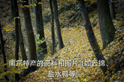 南京特產的資料和圖片!(如云錦、 鹽水鴨等