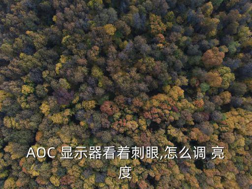 AOC 顯示器看著刺眼,怎么調 亮度