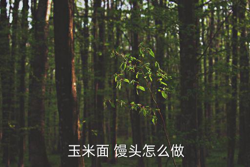 玉米饅頭怎么做,玉米饅頭做法1:先蒸15分鐘再蒸25分鐘