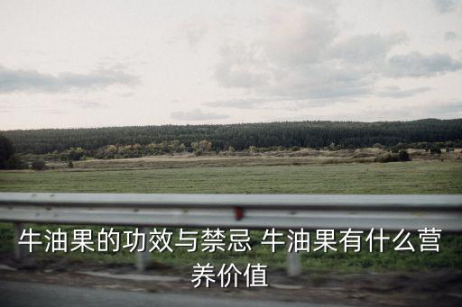 牛油果的功效與禁忌 牛油果有什么營養(yǎng)價(jià)值