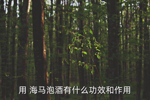 用 海馬泡酒有什么功效和作用