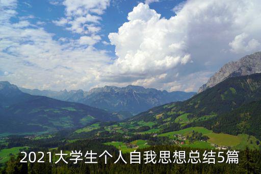 2021大學生個人自我思想總結5篇