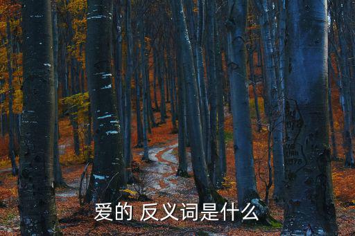 愛的 反義詞是什么