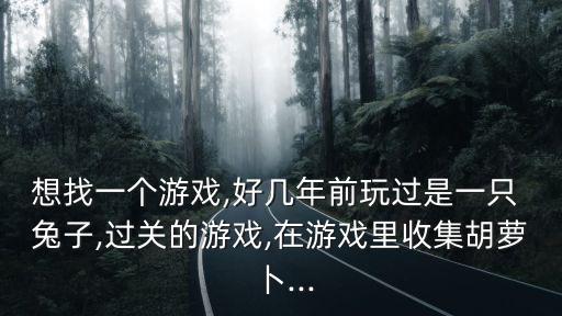 想找一個游戲,好幾年前玩過是一只 兔子,過關的游戲,在游戲里收集胡蘿卜...
