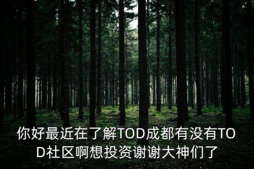 你好最近在了解TOD成都有沒有TOD社區啊想投資謝謝大神們了