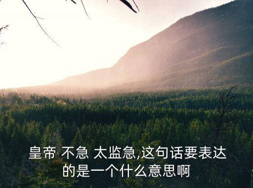  皇帝 不急 太監(jiān)急,這句話要表達(dá)的是一個什么意思啊