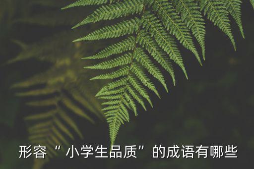  形容“ 小學生品質”的成語有哪些