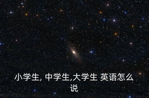 小學生, 中學生,大學生 英語怎么說