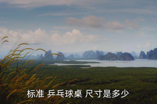 乒乓桌尺寸,乒乓表標尺寸:2740.5毫米網球場地尺寸標準