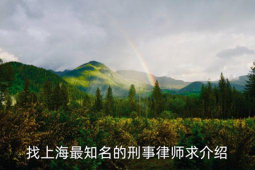 找上海最知名的刑事律師求介紹
