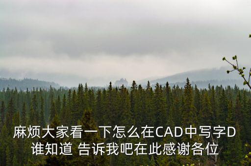 麻煩大家看一下怎么在CAD中寫字D誰知道 告訴我吧在此感謝各位