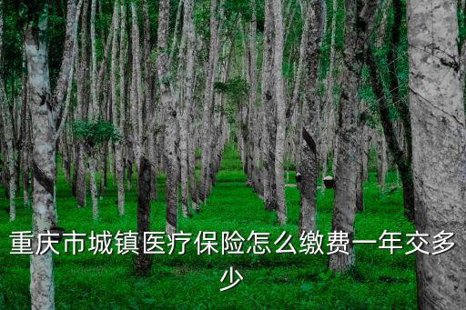重慶市城鎮醫療保險怎么繳費一年交多少