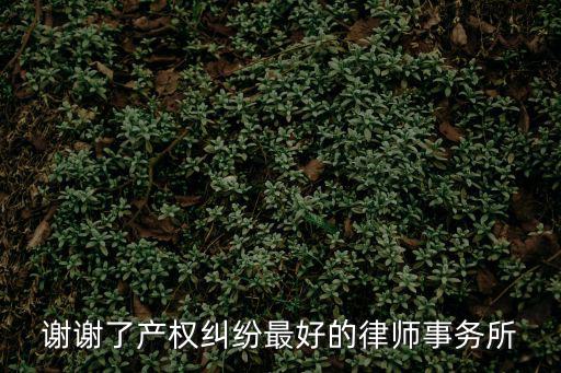 上海贏火蟲律師事務所，謝謝了產權糾紛最好的律師事務所