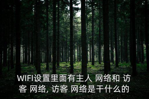 WIFI設置里面有主人 網絡和 訪客 網絡, 訪客 網絡是干什么的