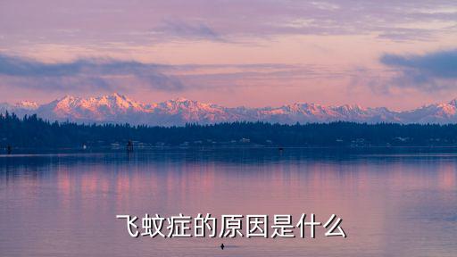  飛蚊癥的原因是什么