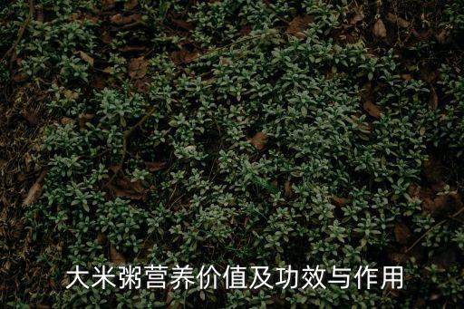  大米粥營養價值及功效與作用