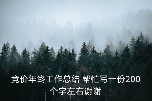 競(jìng)價(jià)年終工作總結(jié) 幫忙寫(xiě)一份200個(gè)字左右謝謝