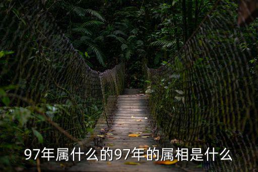 97年屬什么的97年的屬相是什么