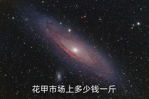 成都市花甲價格，辣汁炒花甲賣多少錢